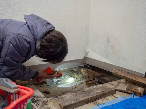 Best Residential Mold Inspection & Testing  in Hewlett Harbor, NY