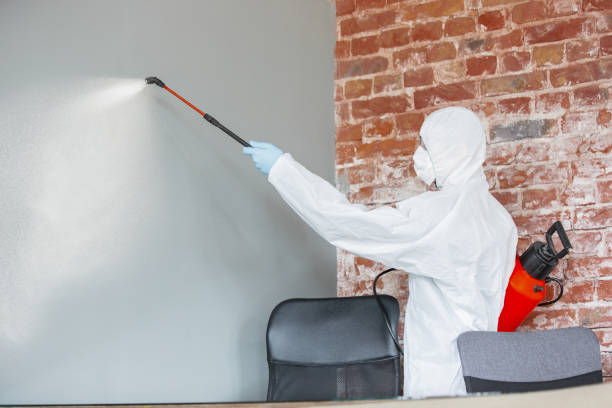 Trusted Hewlett Harbor, NY Mold Removal Experts
