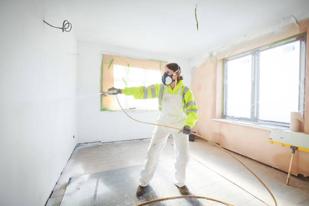 Best Mold Documentation for Insurance Claims  in Hewlett Harbor, NY