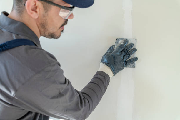 Best Crawl Space Mold Remediation  in Hewlett Harbor, NY