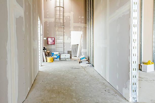 Best Industrial Mold Remediation  in Hewlett Harbor, NY